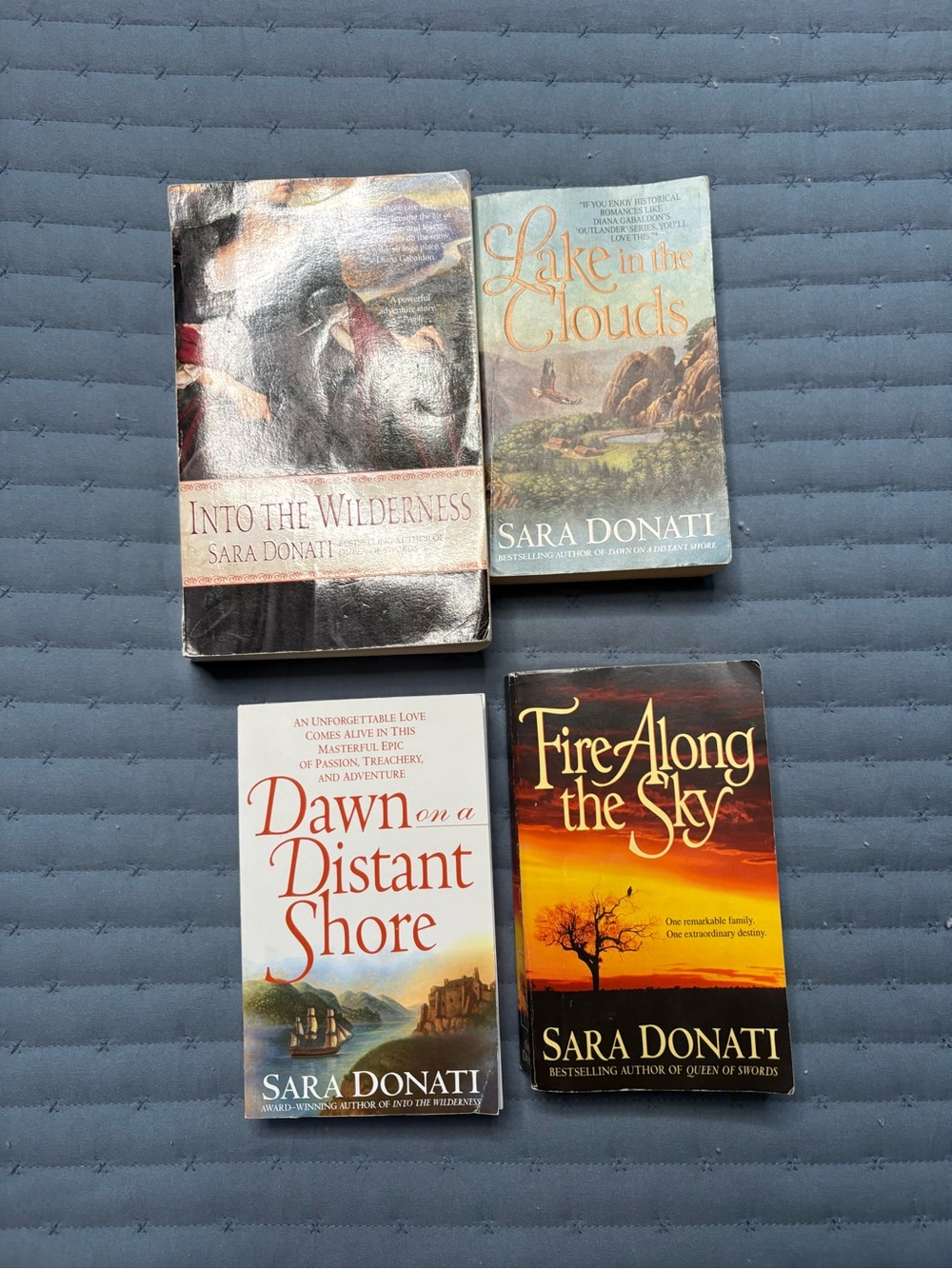 Sara Donati Paperback Book Lot-First Four Books in the Series-Used Condition